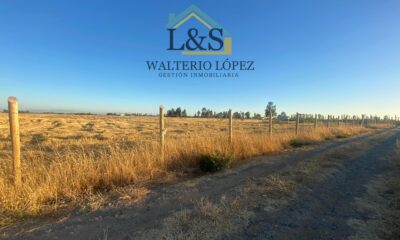 3.-Parcela-Gio-Vargas1