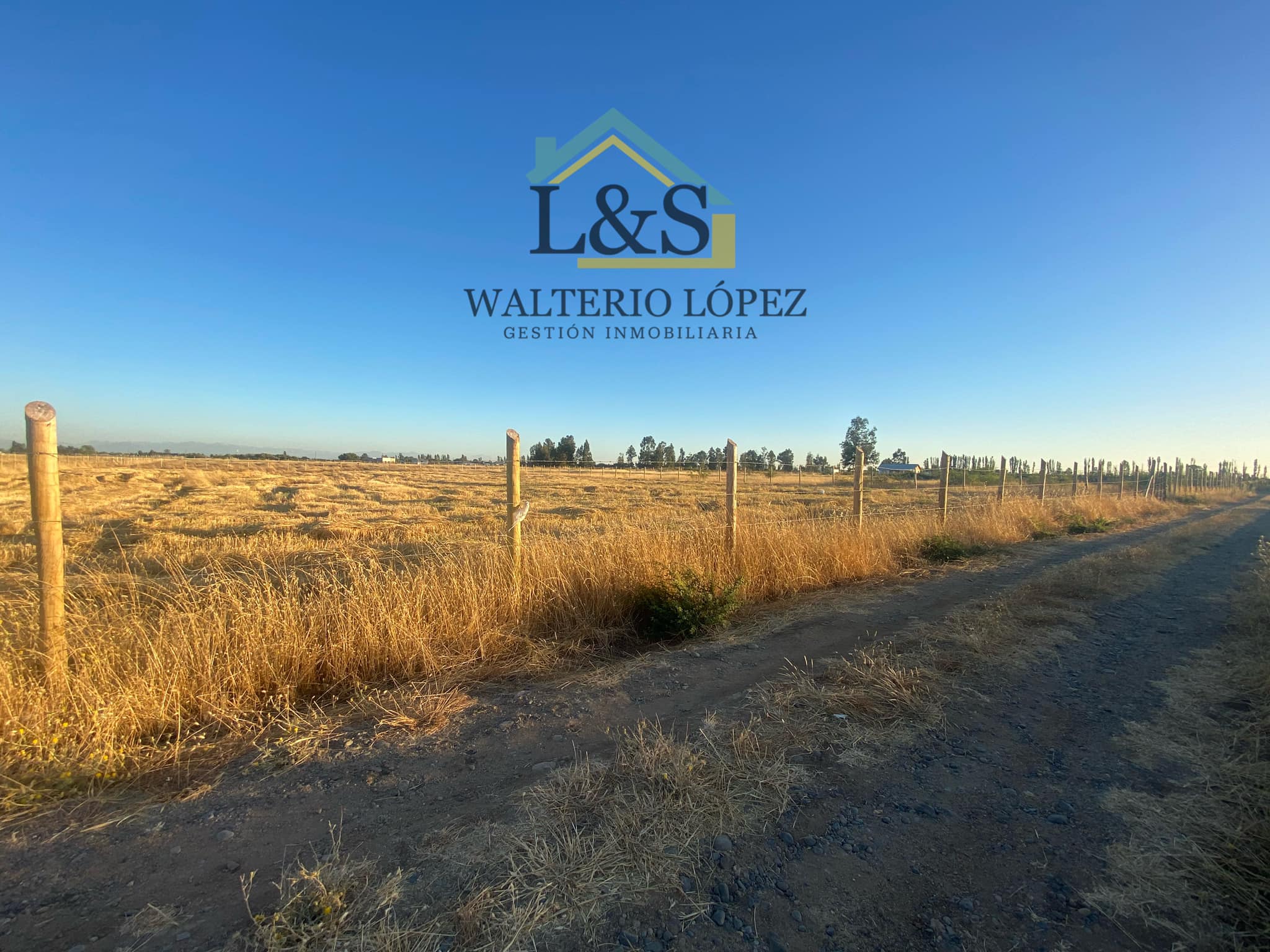 3.-Parcela-Gio-Vargas1