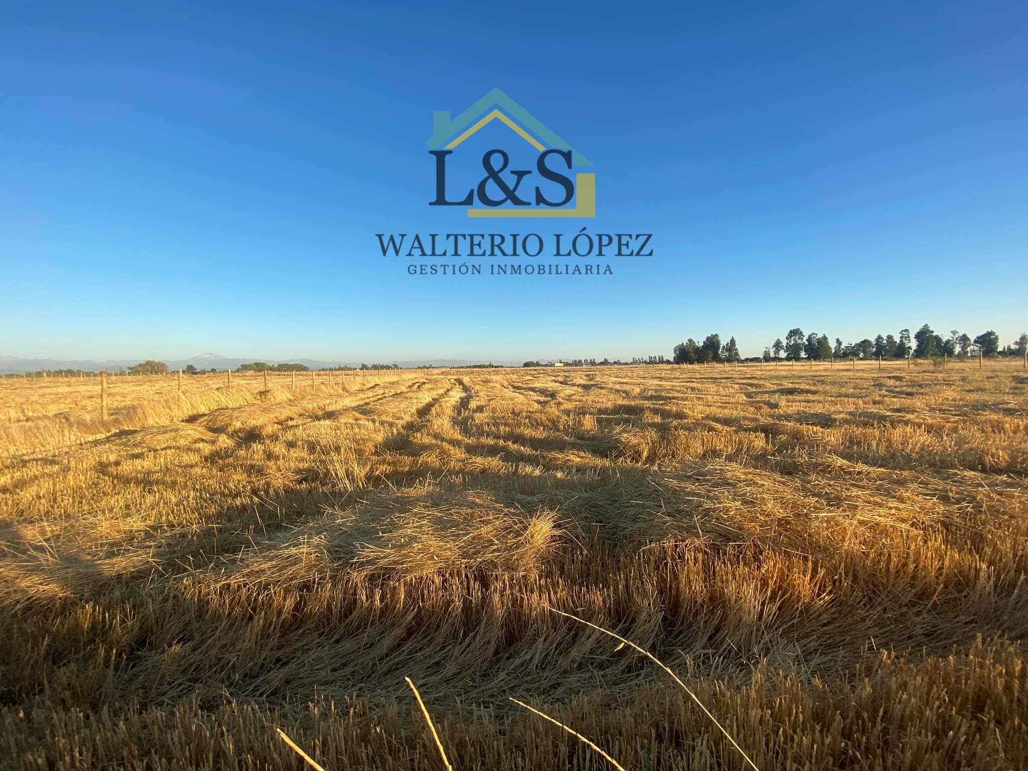 3.-Parcela-Gio-Vargas2