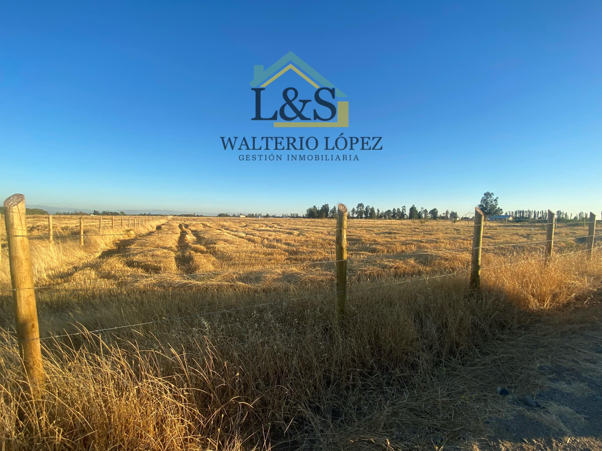 3.-Parcela-Gio-Vargas3